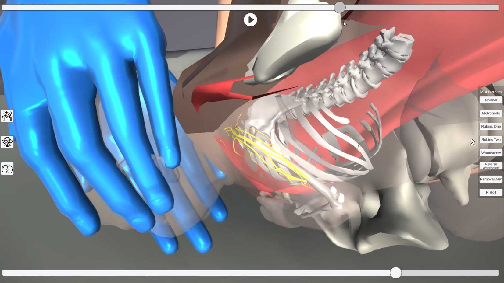 Cover art for Maternity 3D Training